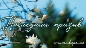 Последний призыв | стихи христианские