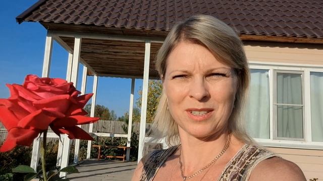 18.09.24. Купаюсь. Последняя дыня. Работаю в теплице.
