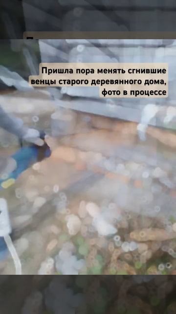 Домик под Гомелем-меняем старые брёвна #заменавенцов #