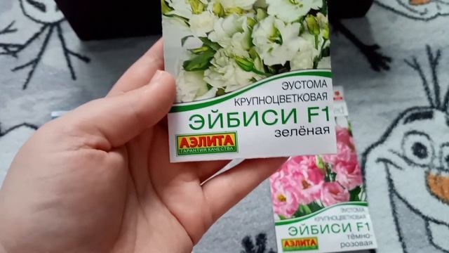 посеяла эустому/ показываю семена эустомы