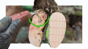 her foot was DECAYING from the INSIDE OUT