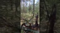 Будет чем топить баню, собрали и валежник