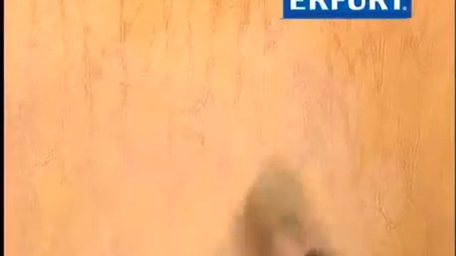 8 Техники покраски обоев ERFURT