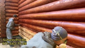 Шлифовка и покраска сруба. Тёплые шов герметик ramsauer ма