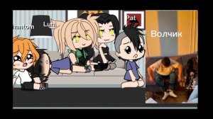 ||реакция Тани бани наАнтона как Даша дошик||