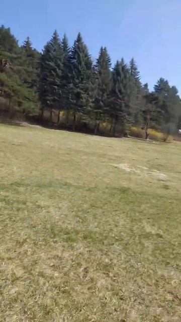 Первомайская поляна в парке Кисловодский, Кисловодск смотреть онлайн