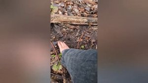 Как леший копал червяков. Поездка 02.05.2020. Снежный человек, бигфут, йети, сасквоч