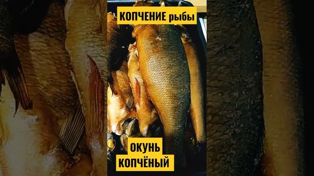 Копчёный ОКУНЬ получилось закоптить рыбу первый раз. ?