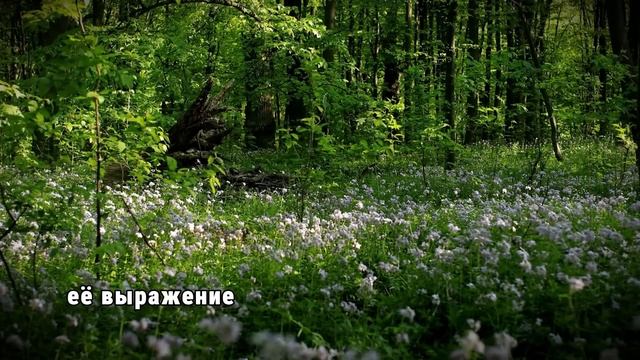 27 лет назад ЦЕЛЫЙ КЛАСС исчез, пока ОТЧАЯННАЯ мать не з