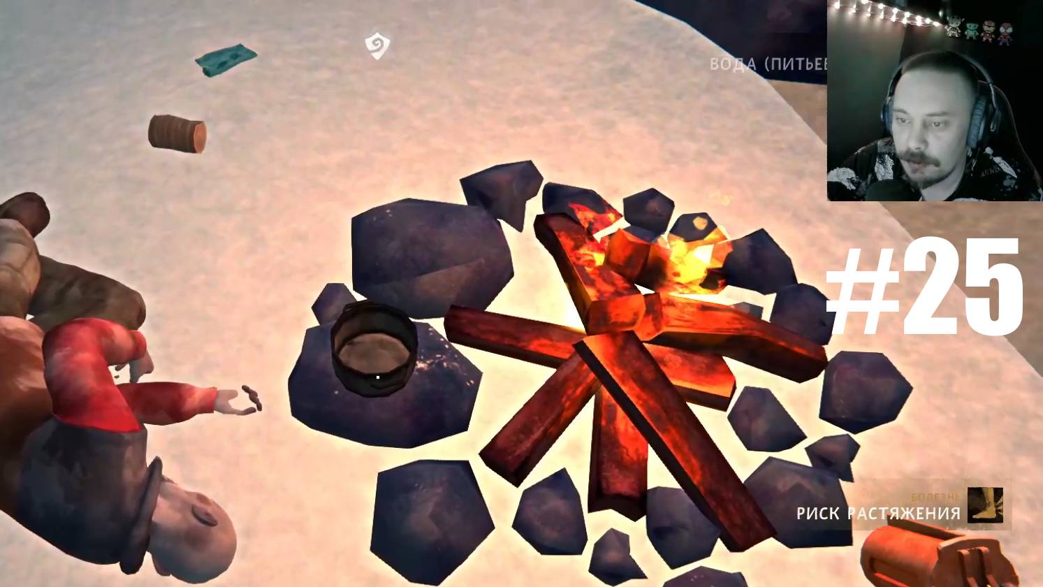 The Long Dark ► Спасение Второго Выжившего #25