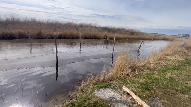 промышленная добыча рыбы