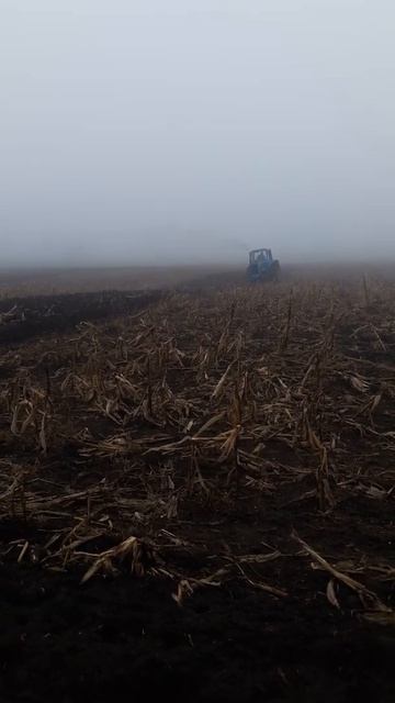 мтз 80 и плн 3.35 после кукурузы смотреть онлайн