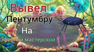 Вывел Пентумбру на мастерской эфира