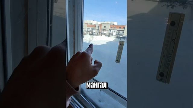 #аренда для #авито #обзор #недвижимость #риэлтор #новос?