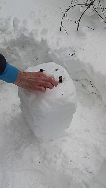 Турбо-печь из снега смотреть онлайн