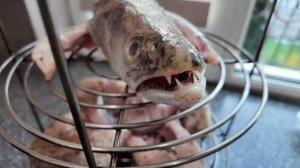 Рыба в тандыре