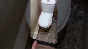 VID-20250507-WA1262