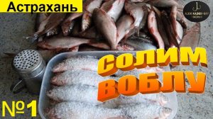🔥КАК СОЛИТЬ ВОБЛУ - СПЕЦСОЛЬЮ🔥на Волге в Астрахани !!!