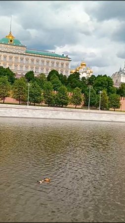 Просто шла мимо