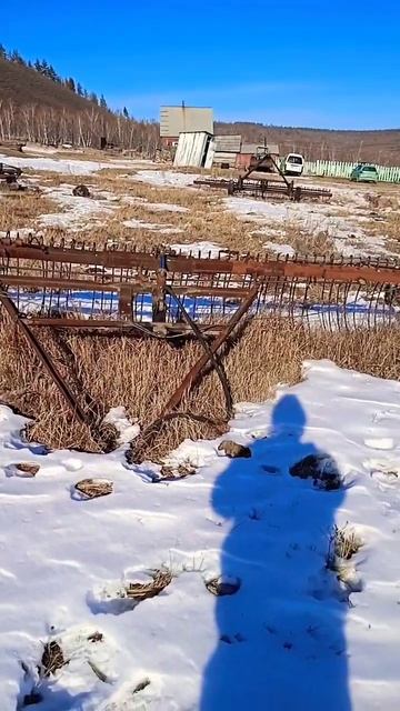 Переделанные грабли.#россия,#грабли,#самоделки,#shorts,#home смотреть онлайн