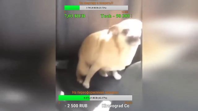 Приколы 2018 - смотрим видосики! СТРОГО 18+ ОСТОРОЖНО МАТ! смотреть онлайн