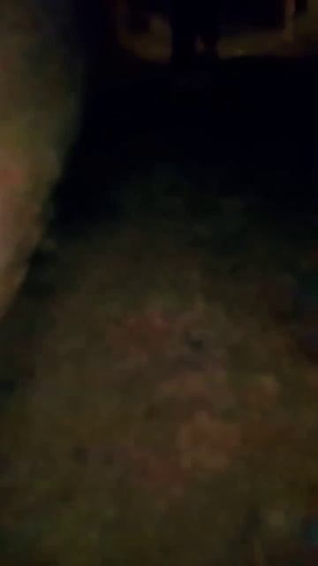 Спустя 3 дня я нашёл выход из подвала, но, кажется, я был