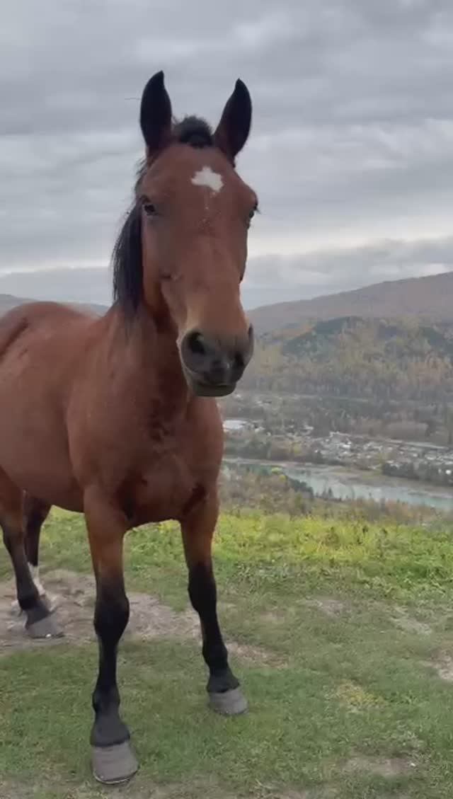 Видео от наших клиентов 15.