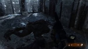 Не лезь она тебя сожрет и раскрытие секрета кота бориса