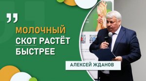 «Молочный скот растёт быстрее»: Алексей Жданов о выгодах откорма разных пород КРС
