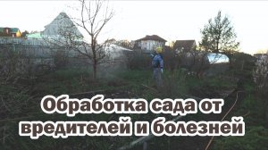 Дождались подходящей погоды и обработали весь сад от вредителей и болезней
