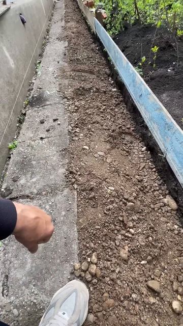 ￼ отмостка вокруг дома 🏡 #shortsvideo #стройка #дача #ремон? смотреть онлайн