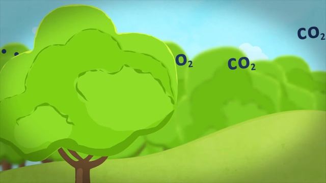 Да засадим заедно Новата гора на София 2019