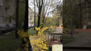 Кошкин дом. Уголок доброты и тепла.