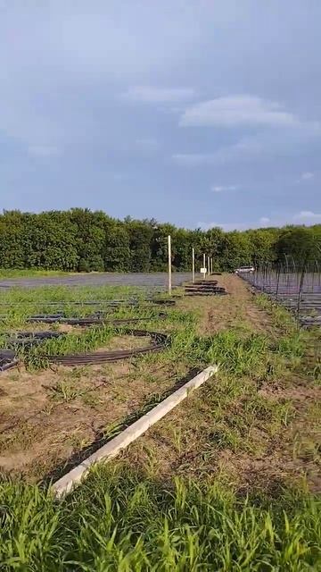 свет на участок смотреть онлайн