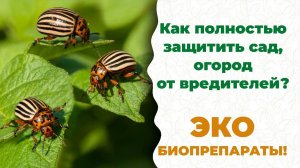 Спасение сада, огорода от вредителей. Поможет биометод от компании «БашИнком».