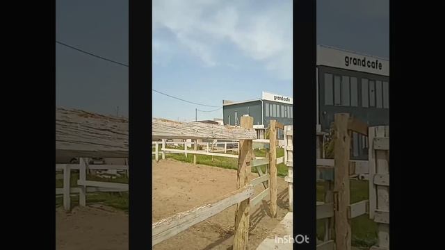 #дагестан #махачкала #horses самая лучшая конюшня #турист?