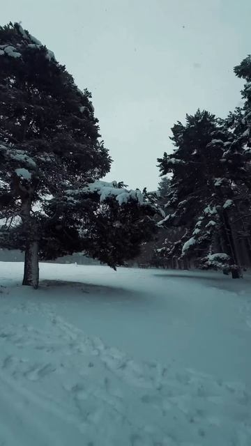 ОДНАКО ИСПАНИЯ В СНЕГУ #жизньвиспании #испаниясегодня