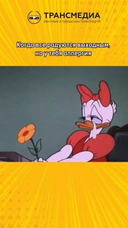 знакомо?