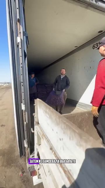 Как быстро и весело посадить картофель смотреть онлайн