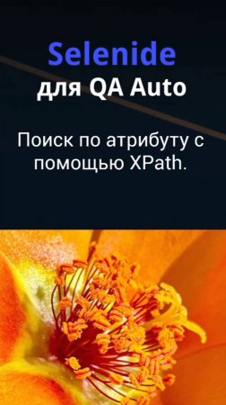 Selenide для QA Auto. Поиск по атрибуту с помощью XPath локаторов.
