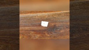 Улучшаем семена дражированием.