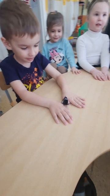 Отзыв о Доме бабочек #школа #butterfly #бабочки #дети смотреть онлайн