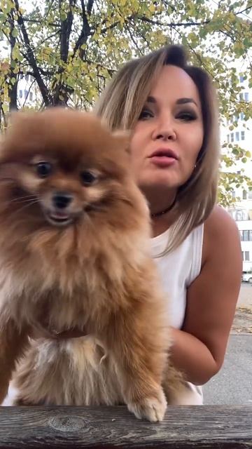 Доброе утро смотреть онлайн