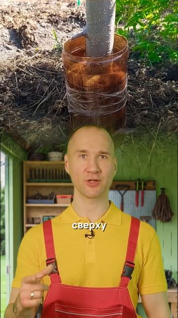 100% защита от муравьев за 5 минут смотреть онлайн