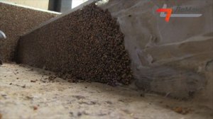 ИНСТРУКЦИЯ ПО УКЛАДКЕ "КАМЕННОГО КОВРА" НА БЕТОННОЕ ОСНОВАНИЕ