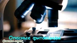 ➤ Почему не стоит сажать грецкий орех рядом с домом ➤