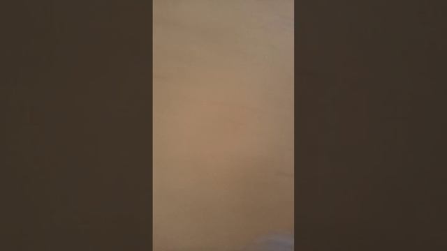 Навожу порядок в теплице 16.01.25. буду отмывать и обрабат