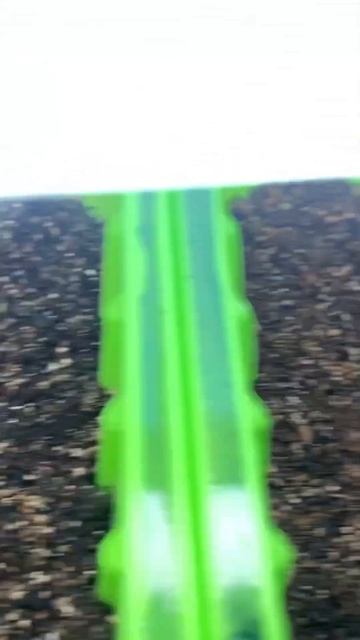 Первые всходы петунии в 2025 😁 #благодать #деревня #зима смотреть онлайн