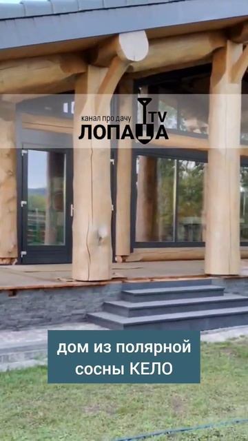 дом из полярной сосны #кело #обзор #дом #дача #лопата #ст смотреть онлайн