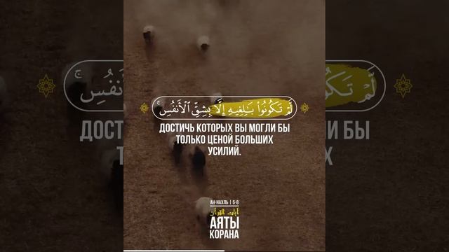 Ан-Нахль🎙 Чтец - عبد العزيز العسيري | Abdulaziz Al-Asiri